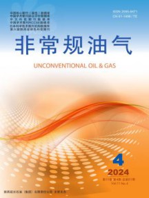 非常规油气杂志